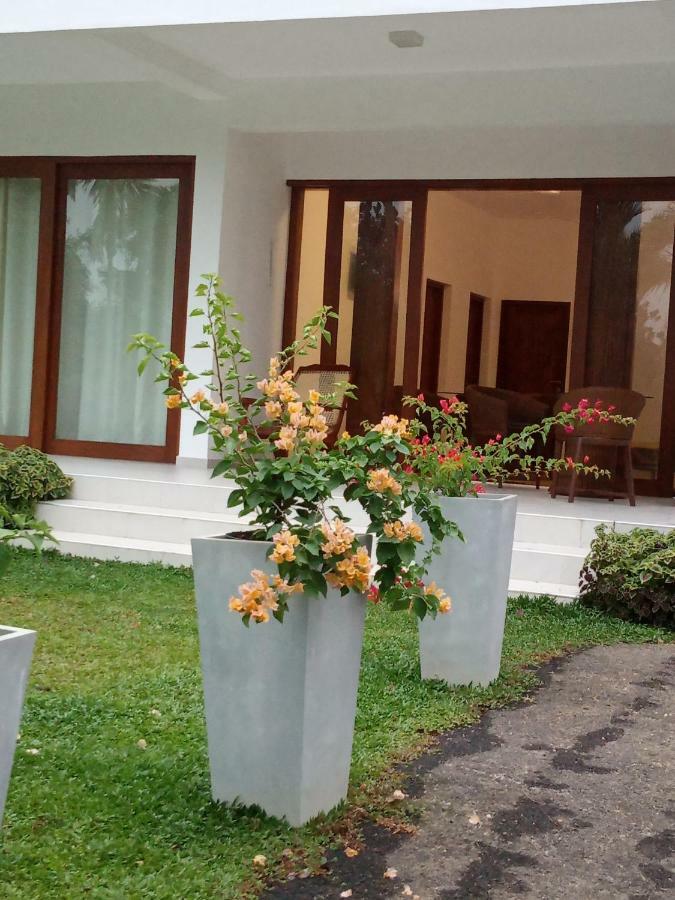 Colibri Villa Maggona エクステリア 写真