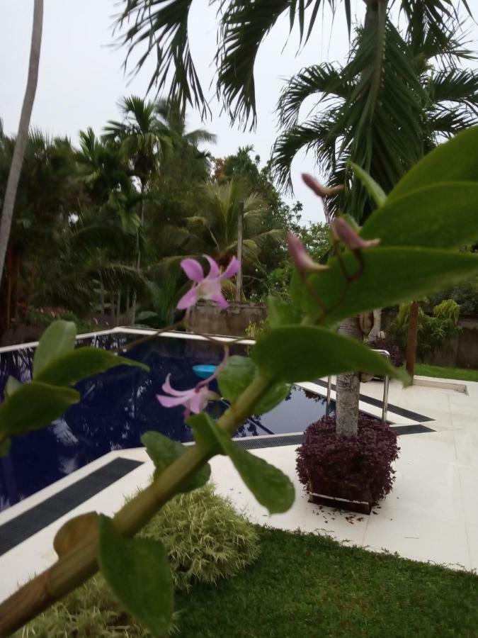 Colibri Villa Maggona エクステリア 写真